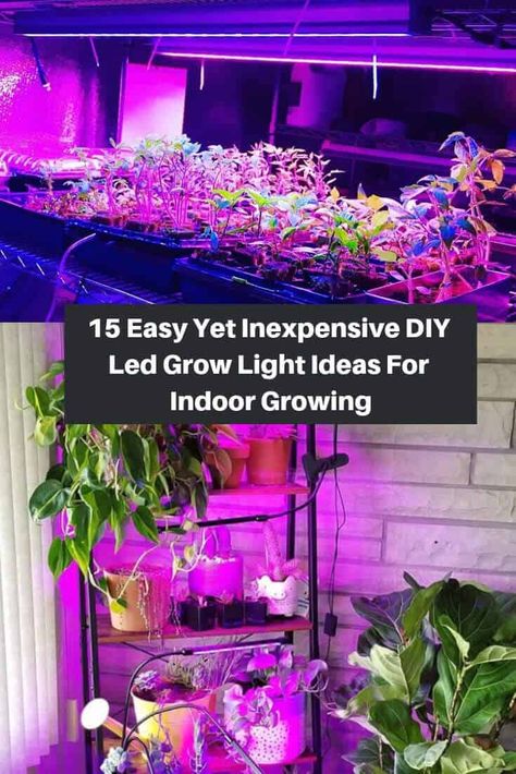 15 Easy DIY Grow Light Ideas For Year Round Indoor Gardening And Seed Starting Grow Light Ideas, Seed Starting Indoors Diy, Diy Grow Light, Grow Lights Diy, Diy Mini Greenhouse, Seed Starting Containers, Succulent Outdoor, Seed Starting Soil, Indoor Grow Lights