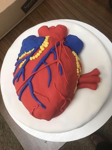 Transplant Party, Human Body Science Projects, Science Project Models, Brain Cake, Heart Structure, Body Science, Human Body Science, Heart Project, Biology Projects