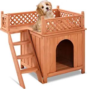 Amazon.com : PETSITE Small Dog House Indoor, Wooden Puppy Shelter with Stairs & Balcony, Pet House for Small Dogs : Pet Supplies Stair Bed, Dog Ladder, Roof Balcony, Small Dog House, Wood Dog House, Build A Dog House, Puppy Room, Wooden Dog House, Dog Gadgets