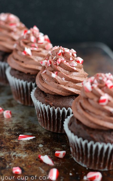 Chocolate Mousse Cupcake with Candy Cane Crunch Mousse Cupcakes, Gluten Free Icing, Peppermint Ganache, Ganache Cupcakes, Gluten Free Cupcake Recipe, Cupcakes Recipes, Sugar Free Candy, Chocolate Cake Mixes, Cupcake Ideas