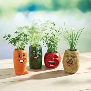 Tomato Potato, Funny Vegetables, Vegetable Planters, Themed Gift Baskets, Colorful Vegetables, Face Planters, Herb Planters, Cucumber Tomato, Herb Pots