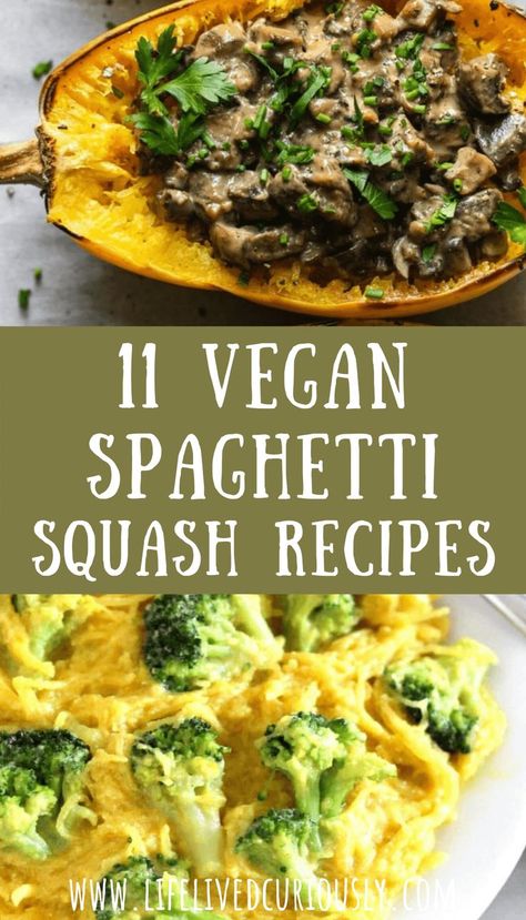 Here are the best 11 vegan spaghetti squash recipes! This is the healthy alternative to regular pasta - packed full of veggies and dairy-free. This list has Asian, Mexican, and Italian cuisines/flavors. These are perfect for a hearty and healthy vegetarian dinner in the fall and winter. Non Dairy Spaghetti Squash Recipes, Vegan Spaghetti Squash Recipes Healthy, Spaghetti Squash Vegan Recipes, Spaghetti Squash Recipes Dairy Free, Vegan Spaghetti Squash Recipes, Vegetarian Spaghetti Squash Recipes, Easy Spaghetti Squash Recipes, Vegan Squash Recipes, Spaghetti Squash Recipes Vegetarian