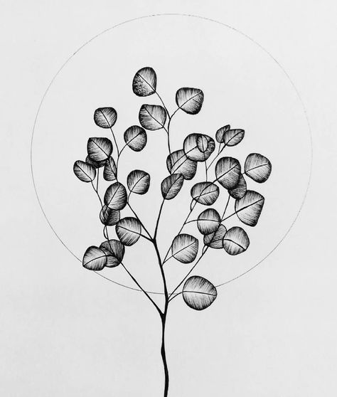 Anna on Instagram: “Silver dollar eucalyptus 🌿🌿🌿 #silverdollar #eucalyptus #leaves #florals #floralsyourway #botanical #illustration #linework #lineart #tattoo…” Silver Dollar Plant, Flower Of Life Tattoo, Panther Tattoo, Dollar Eucalyptus, Silver Dollar Eucalyptus, Plant Tattoo, Botanical Illustrations, Candle Labels, Eucalyptus Leaves