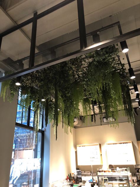 Plants On The Ceiling, Ceiling Plants, Plant Ceiling, Flower Ceiling, Wood Roof, Beauty Salon Design, Glass Room, Salon Interior Design, Samana