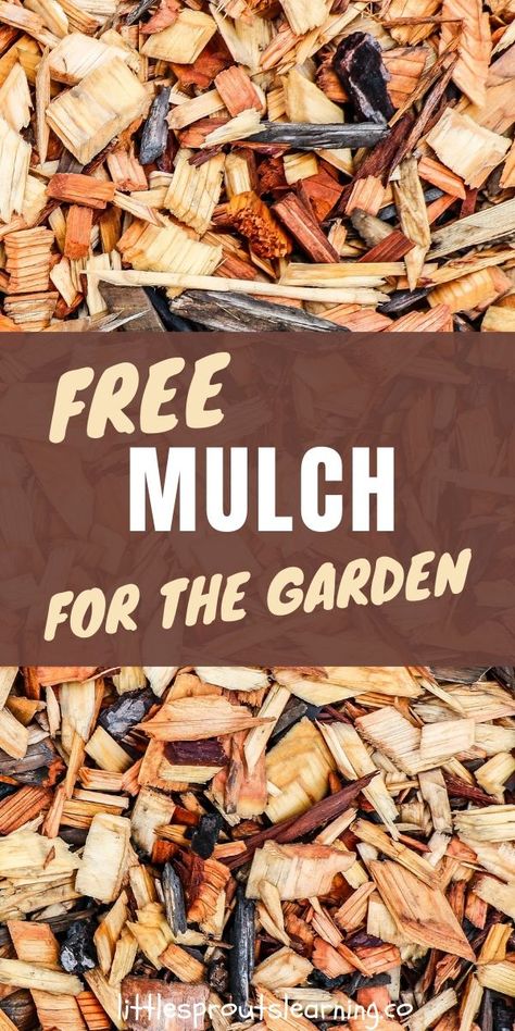 What do you do with all of that leftover material you have in your yard in the fall? There are so many ways to use it. Why use it to mulch your garden? What kind of mulch is best for the garden? Straw mulch, bark mulch, wood mulch, rock mulch? What works best and why use mulch in the vegetable garden. Mulch Alternatives, Mulch Around Trees, Rock Mulch, Wood Chip Mulch, Tree Mulch, Garden Mulch, Straw Mulch, Landscaping Around Trees, Mulch Landscaping