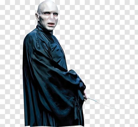 Harry Potter Lord Voldemort, Harry Potter Prequel, The Philosophers Stone, Harry Potter Banner, Phoenix Harry Potter, Harry Potter Professors, Harry Potter Sorting, Harry Potter Logo, Weasley Harry Potter