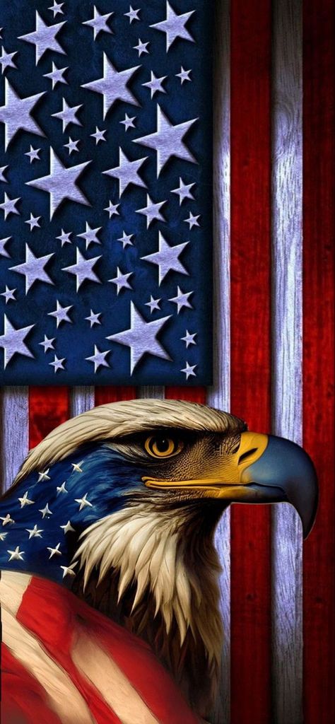 Patriotic Art Ideas, American Flag Wallpaper Iphone, Patriotic Wallpaper, American Flag Pictures, America Flag Wallpaper, 4th Of July Wallpaper, Eagle Artwork, Happy Veterans Day, Patriotic Pictures