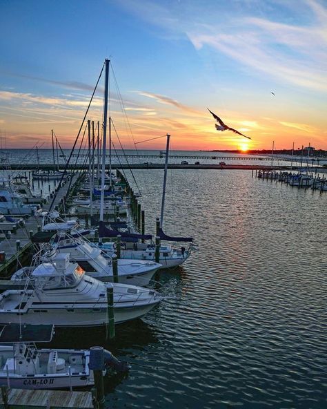 Sunset at the marina in Long Beach Mississippi Mississippi Aesthetic, Sibling Beach Pictures, Long Beach Mississippi, Beach Town Aesthetic, Top All Inclusive Resorts, Small Beach Town, Georgia Beaches, Travel Key West, Beautiful Beach Pictures