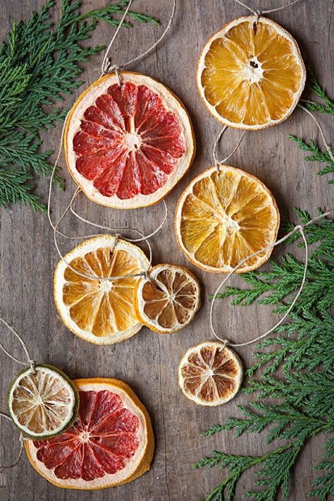 50 DIY Fun Easy and Unusual Christmas Ornaments | moco-choco Citrus Ornaments, Diy Ornaments Christmas, Unusual Christmas Ornaments, Deco Noel Nature, Natal Natural, Christmas Ornament Ideas, Jul Diy, Christmas Diy Kids, Diy Gifts To Make