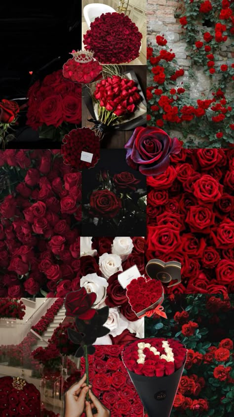 Red Roses Aesthetic, Red Flower Wallpaper, Roses Aesthetic, Cute Images For Wallpaper, Luxury Flower Bouquets, Pretty Wallpapers Tumblr, Wallpaper Doodle, Cool Backgrounds Wallpapers, Beautiful Wallpapers Backgrounds