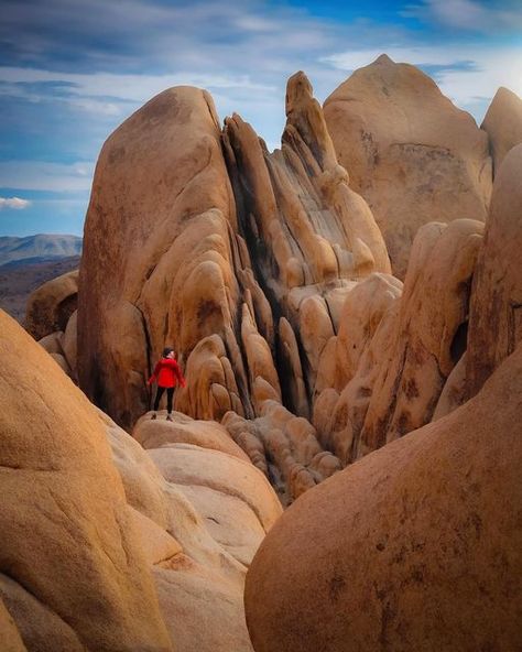 MINDY MICHAELS | ADVENTURE 🏔 TRAVEL on Instagram: "Quick Guide to Joshua Tree National Park ⤵️ 📌 𝘚𝘢𝘷𝘦 𝘧𝘰𝘳 𝘺𝘰𝘶𝘳 𝘧𝘶𝘵𝘶𝘳𝘦 𝘑𝘰𝘴𝘩𝘶𝘢 𝘛𝘳𝘦𝘦 𝘢𝘥𝘷𝘦𝘯𝘵𝘶𝘳𝘦𝘴 𝘢𝘯𝘥 𝘴𝘩𝘢𝘳𝘦 𝘸𝘪𝘵𝘩 𝘺𝘰𝘶𝘳 𝘣𝘦𝘴𝘵 𝘯𝘢𝘵𝘪𝘰𝘯𝘢𝘭 𝘱𝘢𝘳𝘬-𝘭𝘰𝘷𝘪𝘯𝘨 𝘱𝘢𝘭𝘴! Looking for a rad desert escape this winter season (or for early spring)?? Spend some time exploring around Joshua Tree National Park and stay in a mind-blowingly cool + unique airbnb! 👉🏻 swipe to check it out! 𝐁𝐞𝐥𝐨𝐰 𝐚𝐫𝐞 𝐬𝐨𝐦𝐞 𝐨𝐟 𝐦𝐲 𝐉𝐨𝐬𝐡𝐮𝐚 𝐓𝐫𝐞𝐞 𝐍𝐚𝐭𝐢𝐨𝐧𝐚𝐥 𝐏𝐚𝐫𝐤 𝐟𝐚𝐯𝐨𝐫𝐢𝐭𝐞𝐬 𝐭𝐨 𝐚𝐝𝐝 𝐭𝐨 𝐲𝐨𝐮𝐫 𝐥𝐢𝐬𝐭: 🥾 Heart Rock + Arch Rock Via Arch Rock Trail 🫣 Hall of Horrors 🌄 Sunset at Keys View 🌵 Sunrise at Cholla Cactus Garden 💀 Quick stop at Skull Rock 🪨 Explore the jumbo r Joshua Tree National Park Photography, Rock Arch, Unique Airbnb, Joshua Tree Park, Cholla Cactus, Skull Rock, National Parks Photography, Joshua Tree National Park, Cactus Garden