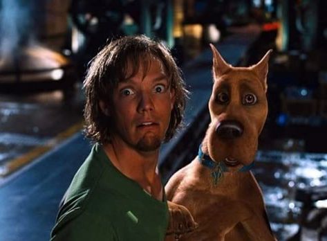 Matthew Lilard, Shaggy Scooby Doo, Scooby Gang, Scooby Doo Pictures, Matthew Lillard, Scooby Doo Movie, Shaggy Rogers, Shaggy And Scooby, Freddie Prinze