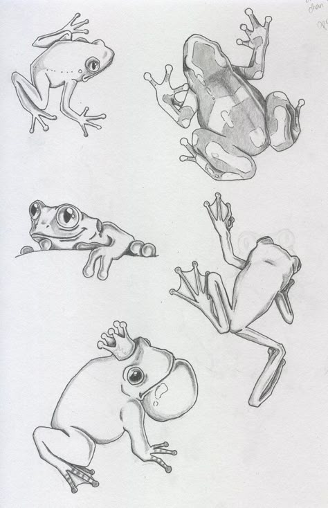 Skitse Bog, Frog Sketch, Frog Drawing, Animal Drawings Sketches, Frog Art, Tree Frog, Seni Cat Air, Arte Sketchbook, 문신 디자인