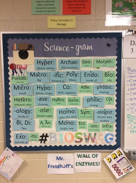 Having a Root Words Wall would definitely be beneficial to the students. Idk if I would do it exactly like this but it's a good start Biology Board Ideas, High School Classroom Decorating Ideas Science, Biology Classroom Ideas High School, Bulletin Board Ideas Science, Science Classroom Theme, Science Vocabulary Wall, Science Room Decor Classroom Ideas, Biology Teacher Classroom, 6th Grade Science Classroom