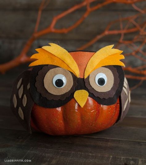 1000+ ideas about Owl Pumpkin on Pinterest | Owl Pumpkin Carving, Owl Pumpkin Stencil and Pumpkin Carvings October Pumpkins, Cat Costume Diy, Creative Pumpkin Decorating, Owl Pumpkin, Bricolage Halloween, No Carve Pumpkin Decorating, Pumpkin Mask, Autumn October, Felt Owl