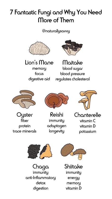 Health Benefits Of Mushrooms, Mushroom Benefits, Magia Das Ervas, Herbal Healing, Herbal Magic, Herbs For Health, Healing Herbs, Medicinal Herbs, Medicinal Plants