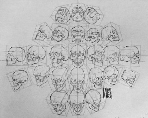 Draw Skeleton, Skeleton Reference, Anatomy Help, Draw Braids, Skull Study, Anatomy Notes, Loomis Method, Head Reference, How To Draw Braids