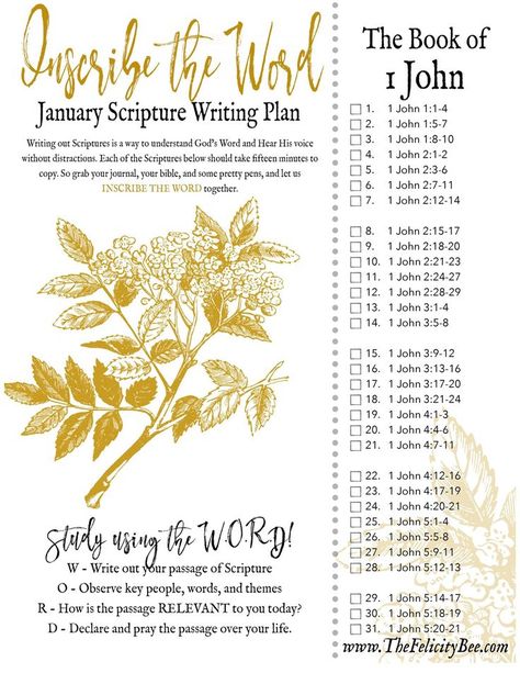 Felicity Bee Inscribe January January Scripture Writing Plan 2024, January Scripture Writing, Writing Scripture, January Goals, Bible Writing, Christian Writing, Scripture Writing Plan, Closing Prayer, Bible John