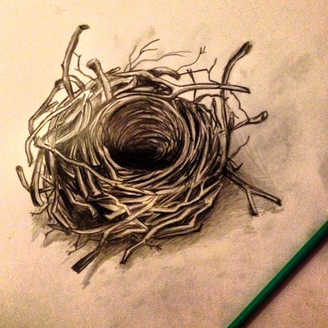 I would love a tattoo something like this, only add two blue eggs, and "eucharisteo" below in typewriter font. Nest Tattoo, Egg Tattoo, Bird Paper Craft, Nest Images, Swallow Bird Tattoos, Red Bird Tattoos, Bluebird Tattoo, Love Birds Painting, Black Bird Tattoo