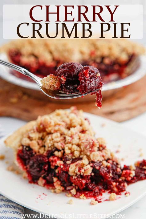 This easy-to-make Cherry Crumb Pie recipe is made with a fresh, tart cherry filling. It's topped with a brown sugar and cinnamon crumble and is the perfect additional to the holiday dessert table, as well as a seasonal treat! Crumb Top Cherry Pie, Cherry Pie Topping Crumble, Cherry Pie With Crumble Topping, Cherry Pie Topping, Crumb Topping For Cherry Pie, Cherry Crumble Pie With Canned Filling, Cherry Streusel Pie, Frozen Tart Cherry Recipes, Cherry Pie Crumble Topping Recipe