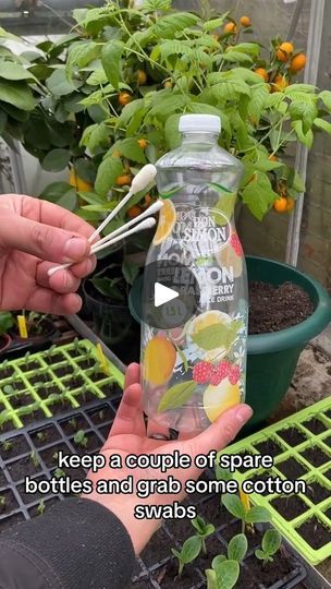 Today we are back and I am sharing my quick tip to create a simple DIY zero waste drip irrigation sy | Page v202 | Page v202 · Original audio Diy Zero Waste, Chic Kitchen Decor, Macrame Lamp, Minecraft Kitchen Ideas, Mermaid Theme Birthday Party, Design Kitchen Ideas, Small Kitchen Ideas, Hanging Plants Indoor, Vegetable Storage