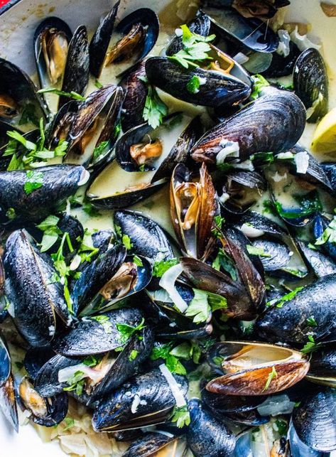 Mussel Recipes, Garlic Mussels, Grilled Mussels, Curry Mussels, Garlic White Wine Sauce, Toasted Baguette, Steamed Mussels, Mussels Recipe, Yellow Curry