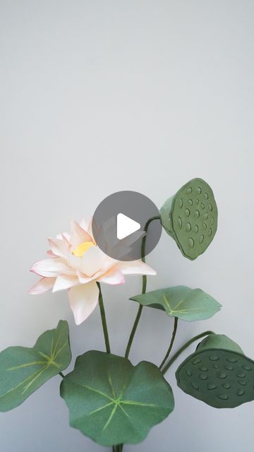 Sara Kim on Instagram: "Paper lotus new template and tutorial now available on my link in bio 🪷 always wanted to try making this flower but had the weird fear of holes when looking at those pods but overcame it while making it out of paper and seriously love them now so much I made the dried pod version too 💕" Fear Of Holes, Weird Fears, Paper Lotus, New Template, Flower Tutorial, Paper Flowers, Lotus, Link In Bio, Flowers