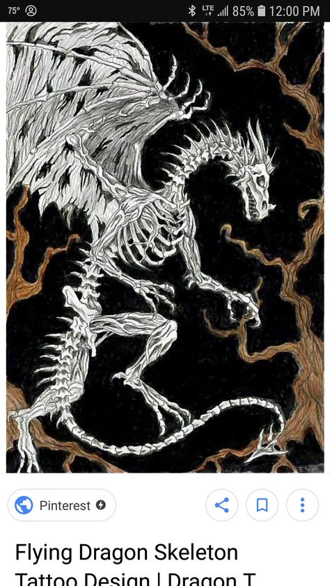 Outline Tattoo Design, Skeletal Dragon, Dragon Tattoo Outline, Dragon Back Tattoo, Dead Dragon, Illusion Illustration, Bone Dragon, Skeleton Pics, Dragon Skeleton