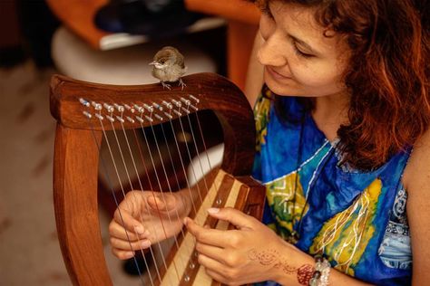 7 Best Harps for Beginners Reviews and Guide | Musiicz Harp Music, Playing The Harp, Lap Harp Music Sheets, Harp Playing, Lap Harp, Celtic Harp, Irish Harp, Basic Concepts, Folk Music