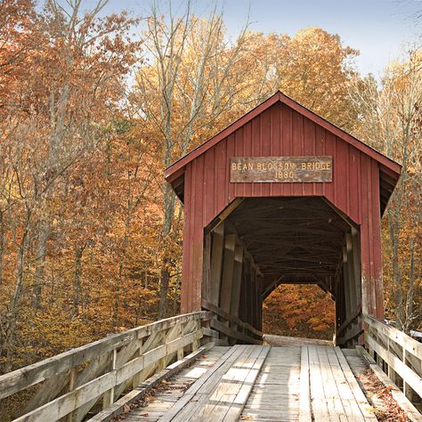 Fall in Brown County - Brown County, Indiana Parke County Indiana, Fall In Indiana, Indiana Aesthetic, Fall Drive, Santa Claus Indiana, Brown County Indiana, Farmhouse Cafe, Kentucky Travel, Colorado Map