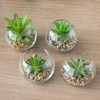 need Diy Planters Indoor, Succulents Wallpaper, Small Terrarium, Succulent Planter Diy, Succulent Garden Design, نباتات منزلية, Succulent Planters, Succulent Centerpieces, Succulent Garden Diy