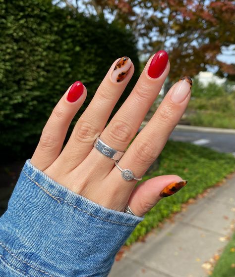 Tortoise Season 🤎🐢❤️ Finally tried my hand at doing tortoise nails and can I just say I’m OBSESSED! Also had to break out my favorite red for the fall season! Used @nailthoughts tortoise nail tutorial to make these lovely nails! . . @kokoist @nailthoughts Platinum Filler Base, NT Tortoise Shell, NT Baby Cakes, Blackest Black, Marrone Brown Glads, Ultra Glossy Top Coat @dndgel Boston University, Walnut Brown . . #nailart #nailarttutorial #nailvideos #nails #nailideas #nailinspo #naildesigns... Tortoise And Red Nails, Tortoise Nails Tutorial, Tortoise French Tip Nails, Tortoise Nail, Tortoise Nails, Nails Tutorial, Blackest Black, Lovely Nails, Nail Tutorial