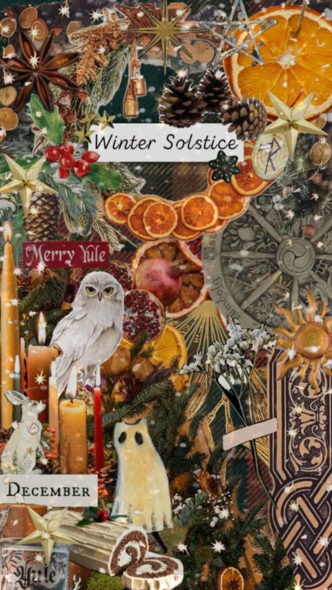 Complicated Aesthetic, Winter Solstice Aesthetic, Solstice Aesthetic, Yule Aesthetic, Merry Christmas Happy Hanukkah, Winter Vision Board, Mushroom Christmas, Wallpapers Christmas, November Wallpaper