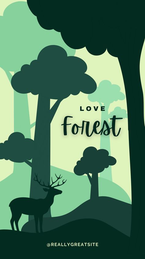 Forest Ecosystem Drawing, Save Forest Poster, Nature Conservation Poster, Conservation Of Plants And Animals, Conservation Of Forest, Deforestation Facts, Deforestation Poster, Forest Posters, Cover Page For Project