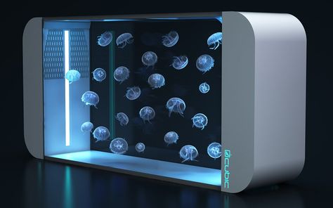 Consider it the gentleman's lava lamp Jellyfish Tank Aquarium, Major Arteries, Jellyfish Quotes, Pet Jellyfish, Jellyfish Lantern, Jellyfish Jewelry, Jellyfish Illustration, Jellyfish Tank, Jellyfish Decorations