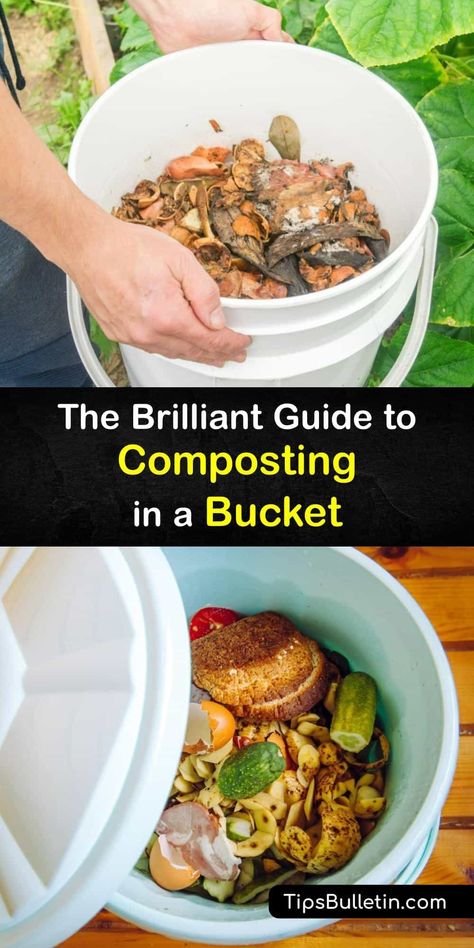 It’s time to turn food waste into a helpful soil additive and amendment for your potted plants and garden vegetables this season. Discover how to create a DIY compost bin with a humble plastic bucket, grass clippings, and unwanted kitchen scraps. #compost #bucket Bucket Composting Diy, Food Compost, Apartment Backyard, Backyard Homesteading, Compost Bin Diy, Wandering Jew Plant, Compost Bucket, Diy Compost, Vegetable Scraps