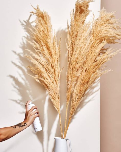 Cortaderia Selloana, Monochromatic Room, Grass Wreath, Grass Decor, Fleurs Diy, Pampas Grass Decor, Pampas Gras, Décor Boho, Rustic Living