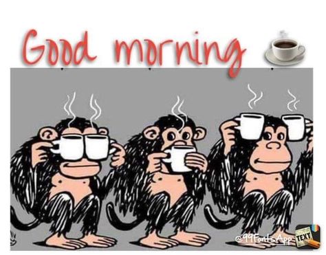 Kaffe Humor, Morning Coffee Funny, Coffee Lover Quotes, Monkey Coffee, Coffee Quotes Morning, Coffee Jokes, Coffee Meme, Coffee Quotes Funny, Funny Coffee Quotes