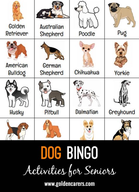 Dog themed picture bingo game.  Great for the residents that are dog lovers! I like to plan it when I know we have therapy dogs visiting as our next activity.  So when we finish and real dogs show up, they love it! Enjoy! Dog Bingo Free Printable, Dog Themed Activities, Dog Days Of Summer Crafts, School Therapy Dog Ideas, Dog Therapy Activities, Dog Themed Games, Dogs Activities, Dog Trivia, Dog Party Games