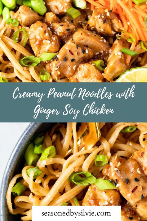 These Creamy Peanut Noodles are nutty, a tiny bit spicy, perfectly salty and filled with umami flavor. The Ginger Soy Chicken mixed in gives it a hearty protein and vegetables like shredded carrot and umami lighten it up and give this bowl a delicious texture! It’s so good served warm for dinner or cold in your meal-prep rotation. noodles recipes, peanut noodle recipe, peanut noodle recipe with chicken, summer noodle recipes, meal prep with noodles Peanut Noodle Recipe, Peanut Noodle Bowl, Healthy Rice Noodles, Noodles Recipes, Asian Chicken Recipes, Soy Chicken, Noodle Recipe, Sticky Chicken, Chicken Noodle Recipes