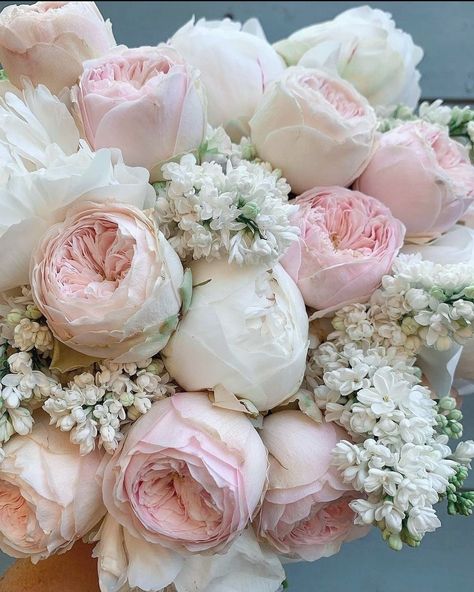 Boquette Flowers, Peony Wedding, Nothing But Flowers, Peonies Garden, Flower Therapy, Peonies Bouquet, Beautiful Bouquet Of Flowers, Luxury Flowers, Beautiful Bouquet