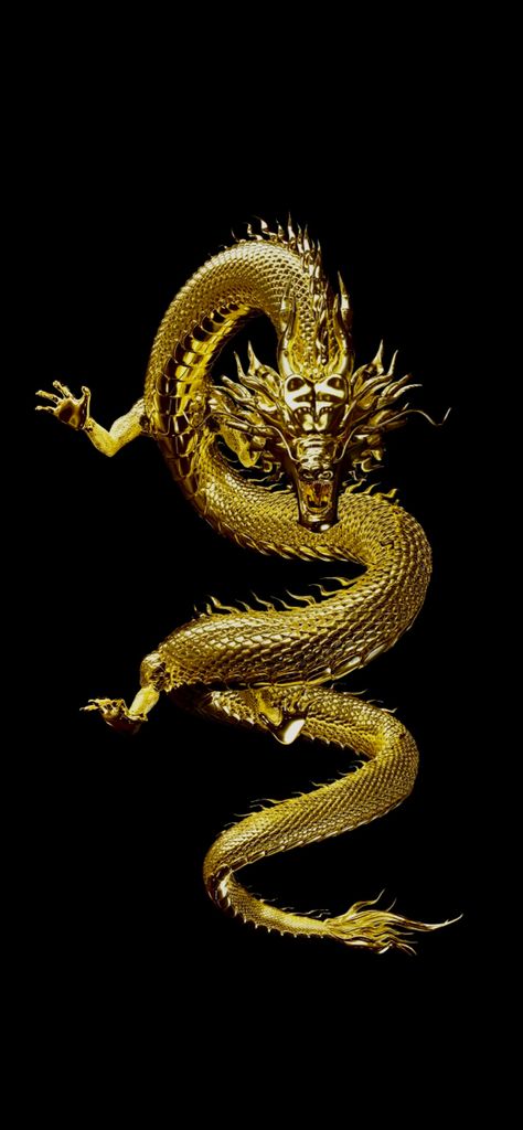 A cool wallpaper for your iphone Gold And Black Wallpaper, Artistic Portrait, Iphone Wallpaper Vintage, Money And Happiness, Dragon Art, Gold Art, Portrait Artist, Wallpapers Vintage, Black Wallpaper