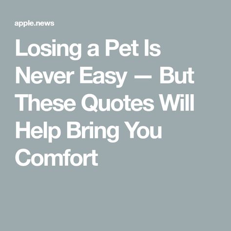 Losing a Pet Is Never Easy — But These Quotes Will Help Bring You Comfort Losing A Cat Quote, Losing A Dog Quotes, Pet Quotes Cat, Losing A Pet Quotes, Losing You Quotes, Pet Quotes Dog, The Loss Of A Pet, Sympathy Messages, Lost Quotes