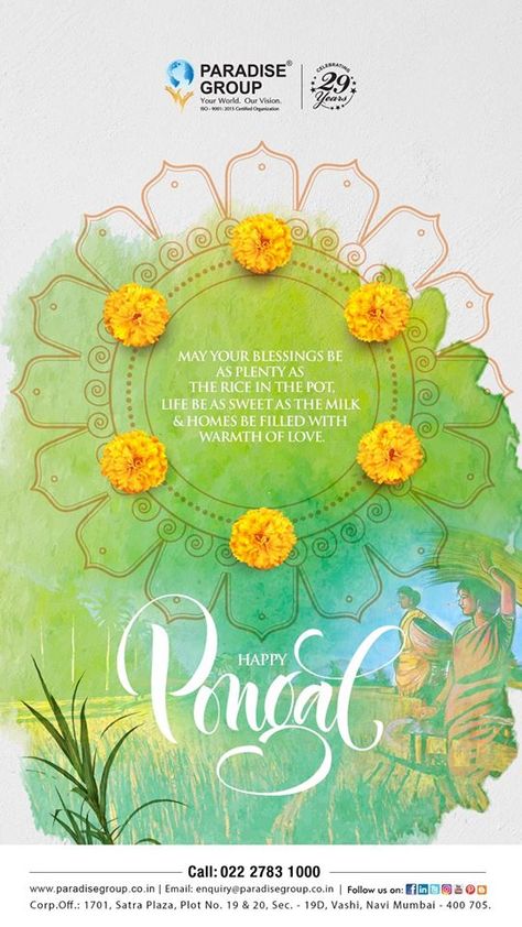 Paradise Group wishes you all a very Happy Pongal  #Pongal #Pongal2020 #Festival #Celebration #Occasion #Divine #HarvestFestival Happy Pongal Creative Ads, Pongal Poster Design, National Education Day Creative Ads, Pongal Creatives, Pongal Creative Ads, Pongal Poster, Diwali Graphics, Pongal Greeting Cards, Haldi Invitation