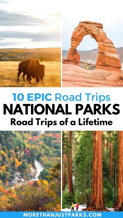 Planning a national parks road trip are we? We've spent the past decade in the parks doing nearly every national park road trip imaginable. We've ranked them all here! #nationalparks #roadtrip #usa #travel National Parks Road Trip Map, Road Trip Yellowstone, Road Trip East Coast, National Park Road Trips, National Parks Road Trip, Utah National Parks Road Trip, Yellowstone Trip, Road Trip Camping, Road Trip Map