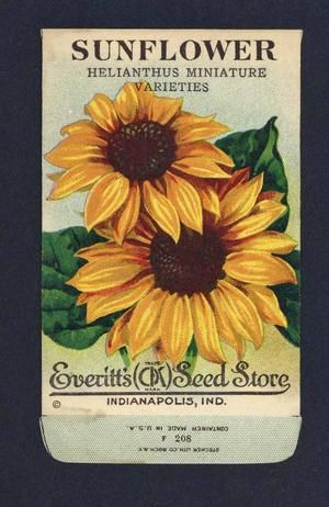 Vintage Seed Packets 1900-1940 – Page 7 – thelabelman Shelf Painting, Seed Packet Template, Sunflower Journal, Sunflower Prints, Garden Seeds Packets, Vintage Seed Packet, Vintage Seed Packets, Flower Seeds Packets, Vintage Sunflower