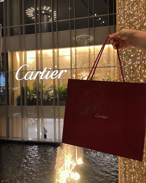 Shopping Girl Aesthetic, Luxury Shopping Aesthetic, Cartier Shop, Cartier Aesthetic, Cartier Shopping, Sunset Proposal, Cartier Bag, Luxurious Brands, Women Ceo