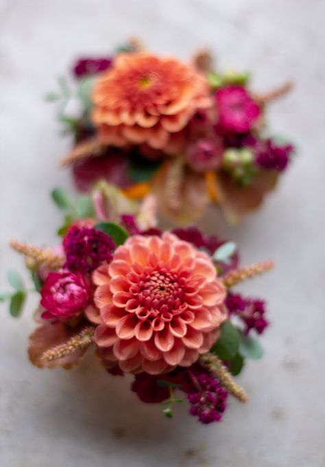 Modern wrist corsage cuffs made with colorful flowers, including coral dahlias, pink strawflowers, and peach amaranth.  Flowers grown and designed by Love 'n Fresh Flowers, a flower farm in Philadelphia. | Photo by Love 'n Fresh Flowers Coral Corsage And Boutonniere, Wrist Cuff Corsage, Cuff Corsage Prom, Dahlia Corsage Wedding, Pink Wrist Corsage Homecoming, Bright Wrist Corsage, Dahlia Wrist Corsage, Pink And Red Corsage, Colorful Corsage Wedding