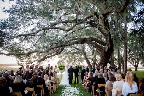 Musgrove Retreat and Conference Center: Low Country Georgia Weddings | St. Simons Island Middleton Place, Lowcountry Wedding, Private Wedding, St Simons Island, St Simons, Georgia Wedding, Vintage Inspired Wedding, Atlanta Wedding, Charleston Wedding