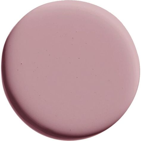 A rosy mauve that lets you live your 90’s teen dream. It’s sweet but not saccharine-or boring. Nothing’s more timeless than a cult classic. Bring a pop of color to the playroom and peace to the nursery with Backdrop’s premium paint. Backdrop is a brand you can feel great about having in your home Backdrop is the first-ever Climate Neutral Certified paint brand and paints are Green Wise certified, low-VOC, low-odor, vegan and animal cruelty free. Backdrop Interior Standard Finish paints are made Paint Backdrop, Accent Wall Paint Colors, Mauve Walls, Tan Paint, Nursery Accent Wall, Dining Room Paint Colors, Mirrors Wall Decor, Door Paint Colors, House Color Palettes